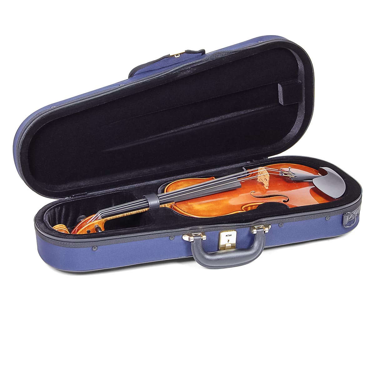 violin case DOLPHIN - ARTONUS - professional security for your instrument