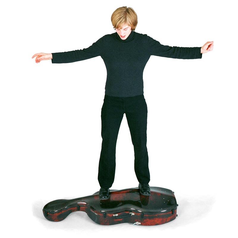 viola da gamba case ACCORD Flight